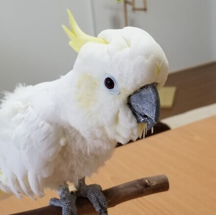 e0f8b9fb482dfb51ec12d92208f6dd